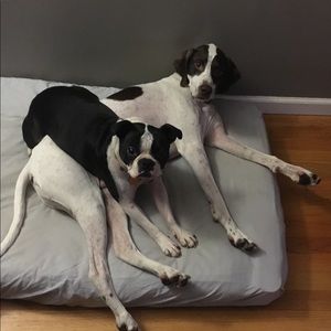 Meet your Posher, Jackie